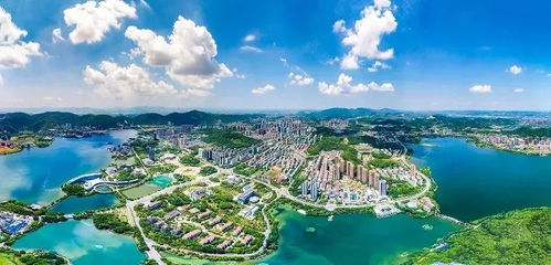 緊扣高質(zhì)量發(fā)展，力促轉(zhuǎn)型升級——黃石這片投資熱土等你來